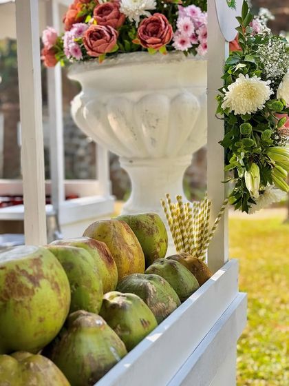 The Tropical Coconut Bar photo 7