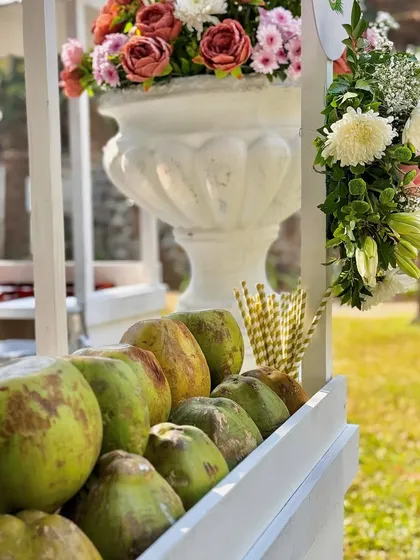 Another view of my fresh coconut cart, ready to serve guests. The cart is stocked with green coconuts and eco friendly paper straws, promoting a refreshing and sustainable drink option.