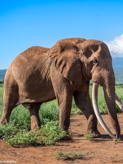 Craig in his kingdom. We tracked him down and spent an incredible amount of time photographing him, a highlight for everyone on the tour.