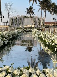 Full-Service Wedding Planning