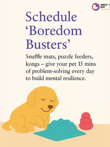 CarryMyPet - Pet Travel & Parenting Consultation Pet Parenting & Wellness photo 18