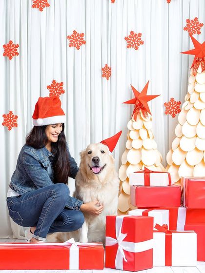 Rohit - Family & Pet Photography Brand Collaborations & Festive Fun photo 7