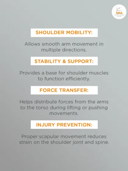 A strong and mobile scapula is key for shoulder mobility, stability, force transfer, and injury prevention. We focus on proper scapular movement in our sessions.