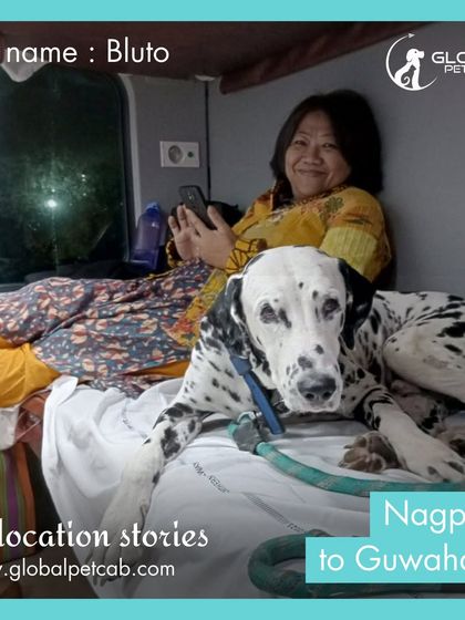 Global Pet Cab - Domestic Pet Relocation Train Travel: First-Class Coupe Journeys photo 30