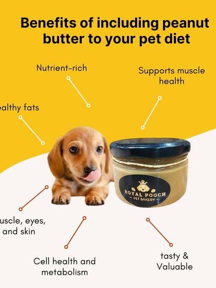 This graphic explains the many benefits of including my pet-safe peanut butter in your dog's diet. It's nutrient-rich, full of healthy fats, supports muscle health, and is a tasty, valuable treat.