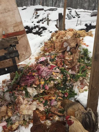 Fresh food scraps, including colorful flowers, being added to the pile for the chickens to work on. This demonstrates the variety of organic materials that can be composted.