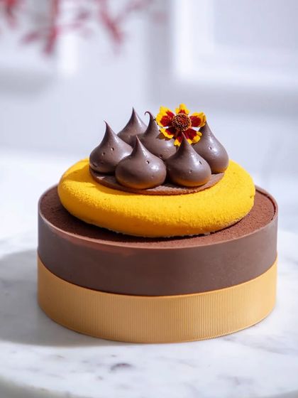 A close-up of the elegant two-toned entremet, highlighting the smooth finish and delicate toppings.