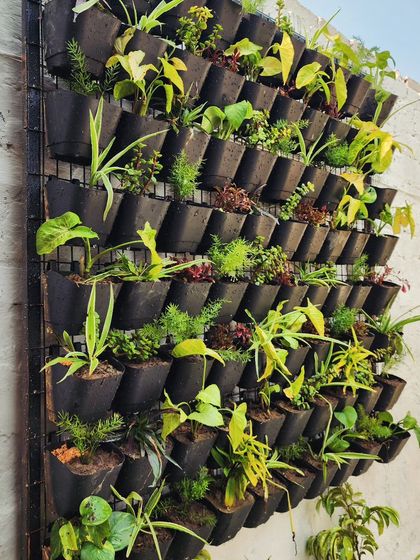 Delhi Gardner - Full-Service Landscaping Urban Green Spaces: Balconies, Terraces & Vertical Gardens photo 5