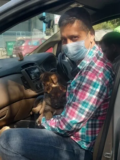 Thank you for giving me the chance to serve you happiness. This new owner is carefully taking his two German Shepherd puppies home, ready to start their new life.