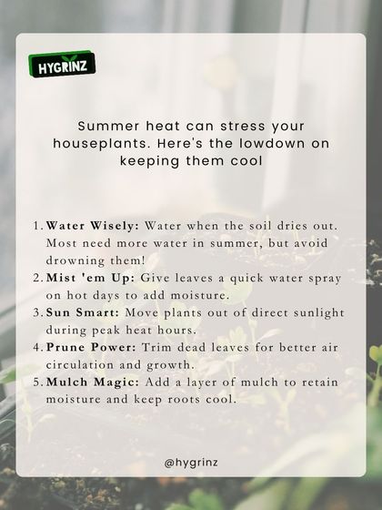 Hygrinz - Garden Maintenance Gardening Know-How: Tips & Techniques photo 10