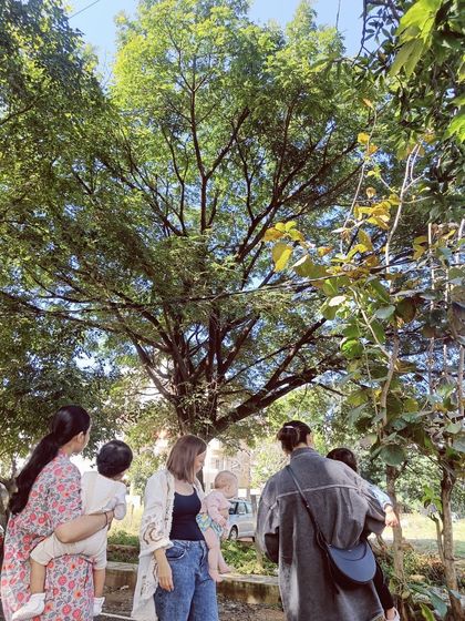 Knowledge Origin - Preschool & Kindergarten Programs Learning Beyond Our Walls: Field Trips & Nature Exploration photo 19