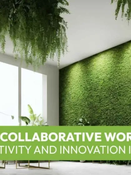 Biowalls are perfect for collaborative workspaces, fostering creativity and innovation. This moss wall, combined with hanging ferns from the ceiling, creates an immersive green experience that purifies the air and reduces stress.