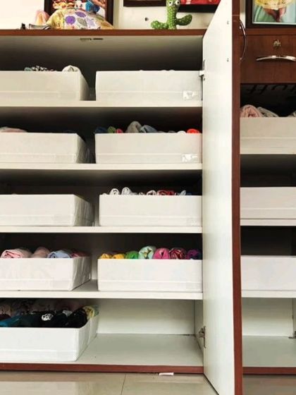 Sort Story by Smriti - Virtual Organizing Consultation Creative Storage Solutions photo 4