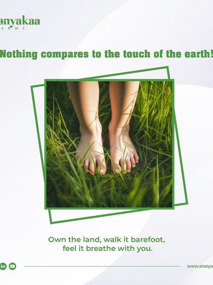 Nothing compares to the touch of the earth. I believe in owning the land, walking it barefoot, and feeling it breathe with you. It's a profound connection to nature.