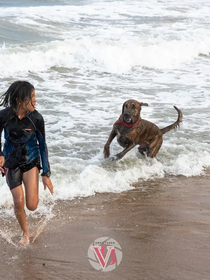 Some of the best memories are made with sandy paws and salty air. This action shot of Kumbha and his human playing in the waves captures the pure bliss of an outdoor adventure. This is what my Wild & Whiskered sessions are all about.