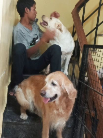 Is there a specific time for petting? Nope, it's an all-day affair here.