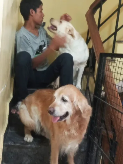 Is there a specific time for petting? Nope, it's an all-day affair here.