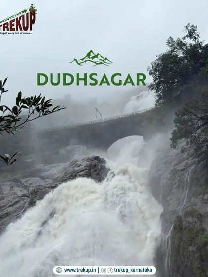 Witness the sheer power and beauty of Dudhsagar falls. I organize treks that take you right to this iconic spot, perfect for an unforgettable corporate or private group adventure.