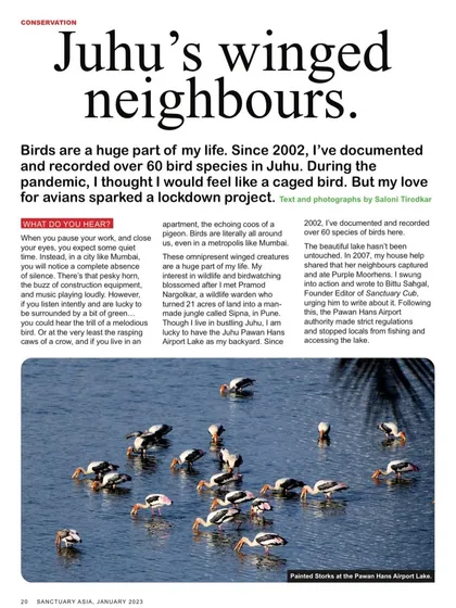 The opening page of my feature story in Sanctuary Asia magazine. Seeing my photos and words in print, telling the story of Juhu's winged neighbors, was an incredibly proud and rewarding moment.
