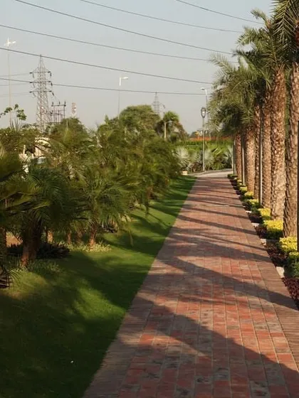 I believe that plants can completely change a landscape. This brick pathway is transformed by a long row of mature palms, creating a beautiful, shaded walkway.