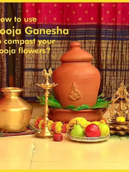 The Pooja Ganesha is a beautiful and sacred way to manage your pooja flowers, turning them into nutrition for the plants growing around it. It is a perfect addition to your pooja room.