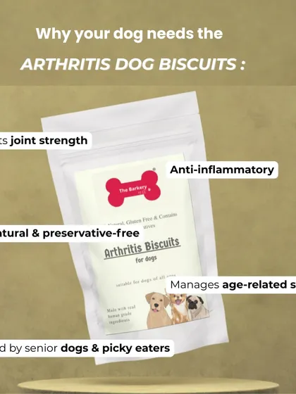 I created my functional treats for dogs with specific needs. These Arthritis Biscuits are made with natural, anti-inflammatory ingredients to support joint strength and manage age-related stiffness, especially for senior dogs and picky eaters. It's a small way to give them comfort and care.
