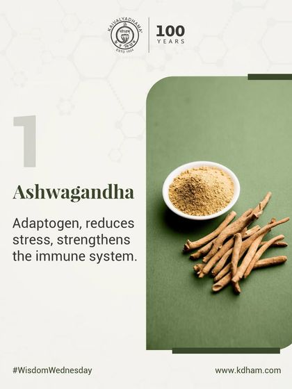 Ashwagandha is a powerful adaptogen used in our naturopathic recommendations. It is known for its ability to reduce stress and strengthen the immune system, promoting resilience in both mind and body.