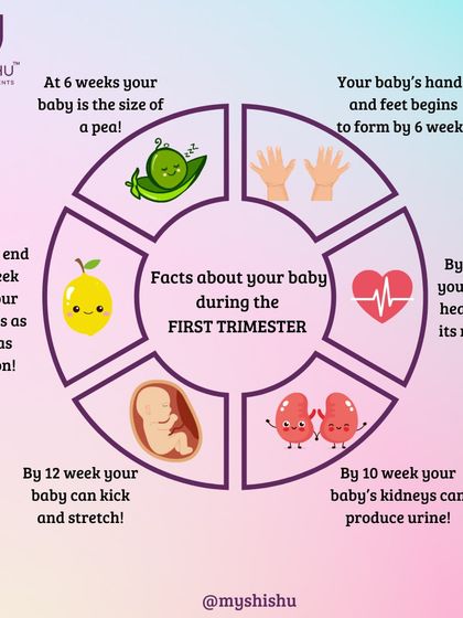 The first trimester is a time of rapid development. This infographic shows your baby's growth milestones, from being the size of a pea at 6 weeks to kicking and stretching by week 12.