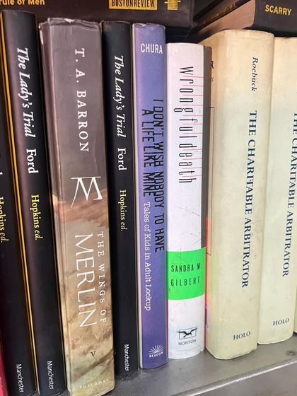 A shelf at a law bookstore. I often find interesting titles on criminal justice, wrongful death, and legal history that inform my practice and my understanding of the law's evolution.