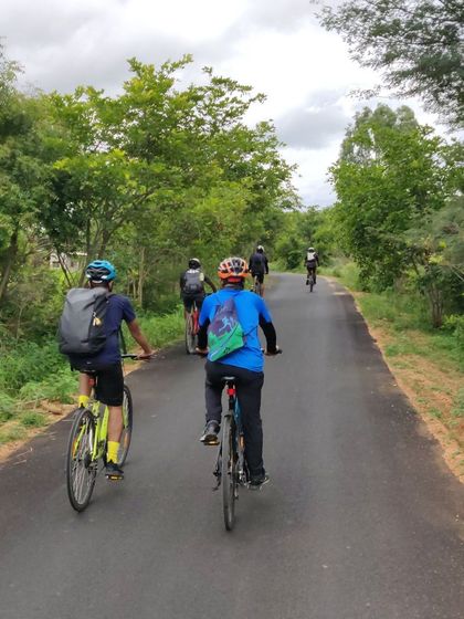 A group enjoys a ride on a tree-lined road through the Savandurga state forest. The route is quiet, green, and perfect for cycling.