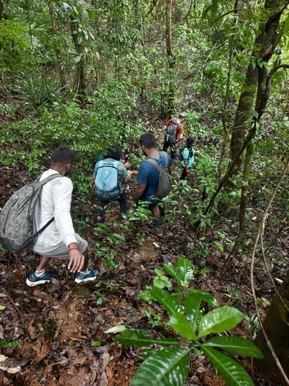 Navigating a dense jungle trail. Our offbeat treks are for those who truly want to get away from it all.