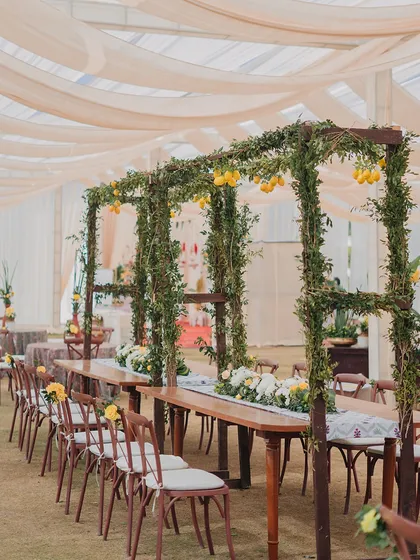 An example of elegant and rustic decor for a daytime event. Long wooden tables are set under a canopy of greenery and lemons, creating a fresh and sophisticated dining experience.