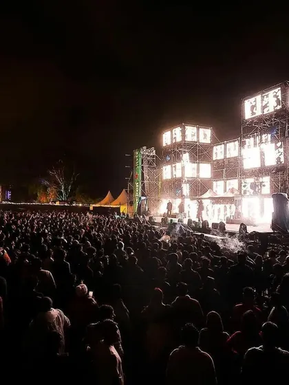 The view from my stage at the Steppinout Music Festival. Seeing a massive crowd like this, all connected by the music, is why I do what I do. The energy was electric.