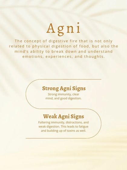 Agni is our 'digestive fire', but it governs more than just food. It is our ability to process emotions, experiences, and thoughts. Strong Agni leads to a clear mind and strong immunity, while weak Agni can cause fatigue and toxin buildup.