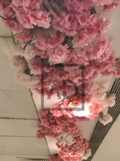 Here, you can see how the artificial cherry blossom branches are arranged to create a natural, hanging effect from the ceiling. The mix of light and dark pink flowers adds depth and realism to the installation.