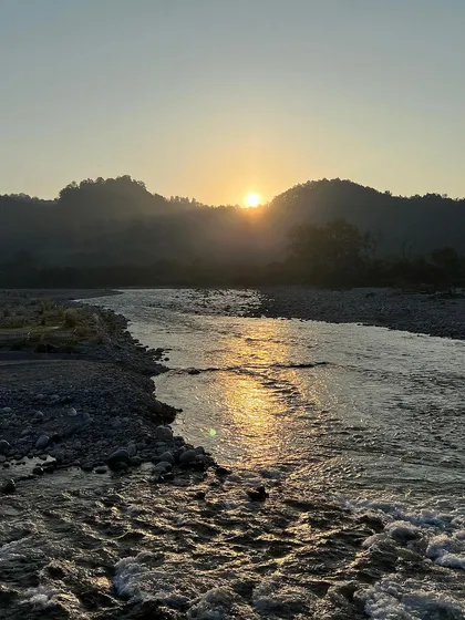 Golden sunlight from the setting sun creates a glittering path across the river's surface. This shot is all about the beautiful interplay of light and water.