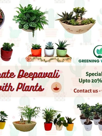 Greening Wonders - Corporate & Personal Plant Gifting Additional Work photo 32