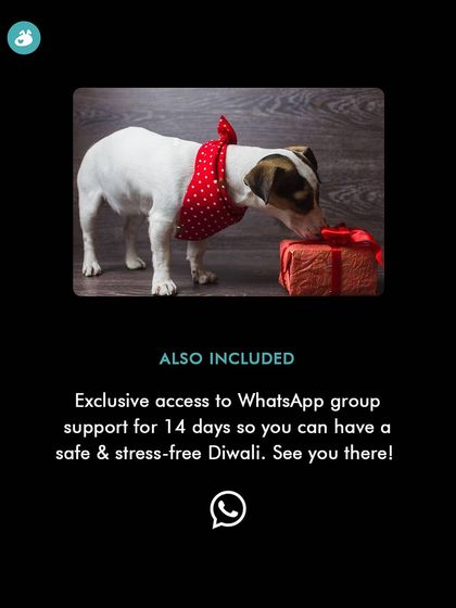 Post-session support is a big part of my workshops. For the Diwali class, you get exclusive access to a WhatsApp group for 14 days to ask questions and get feedback as you practice the techniques.