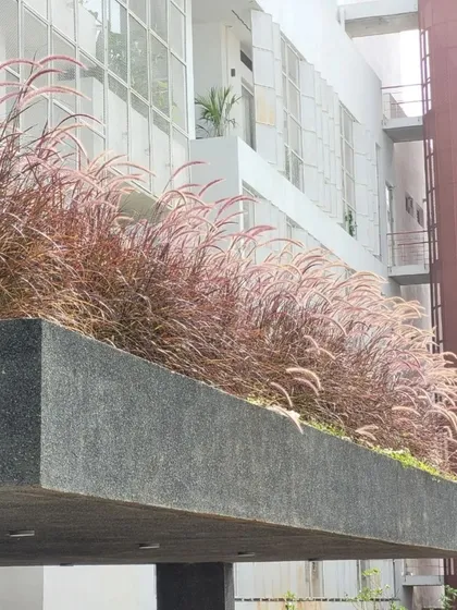 A planter box filled with reddish ornamental grasses adds a splash of color and texture to this industrial building's facade. This simple intervention breaks the monotony of the building and connects it to the surrounding landscape.
