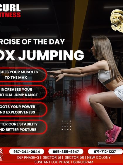 Fitness & Workout Guides photo 19