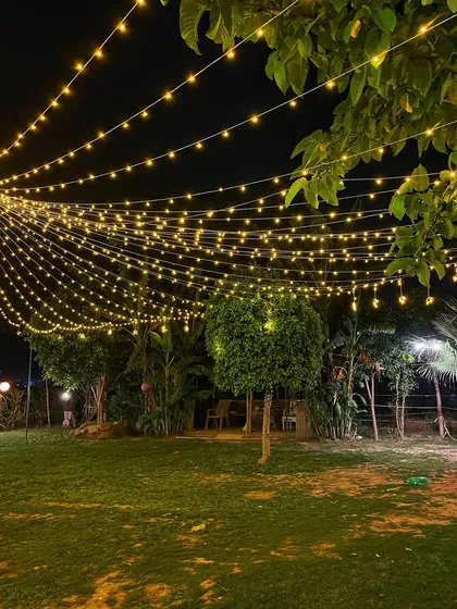 Another view of our green lawn under the magical fairy lights. The trees and plants are beautifully highlighted, creating a stunning natural venue.