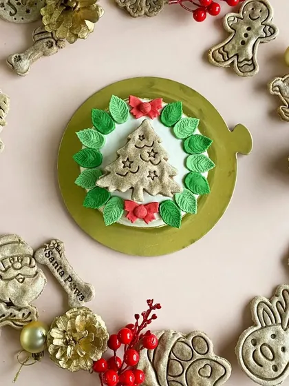 Another one of our Christmas cake designs, surrounded by an assortment of our hand-decorated, gluten-free Christmas biscuits.