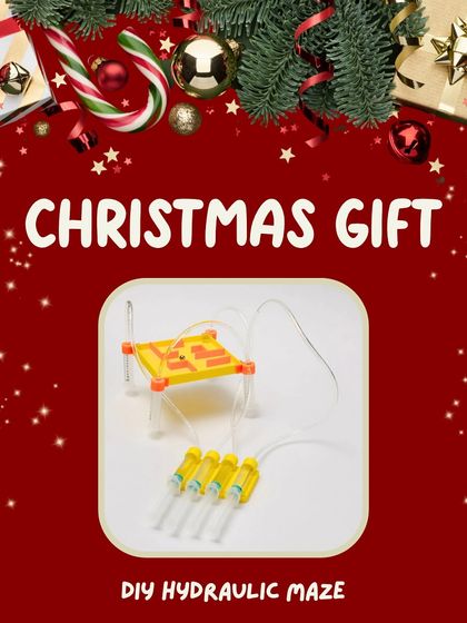 Our DIY Hydraulic Maze kit is a great way to explore the power of hydraulics in a fun, interactive game.