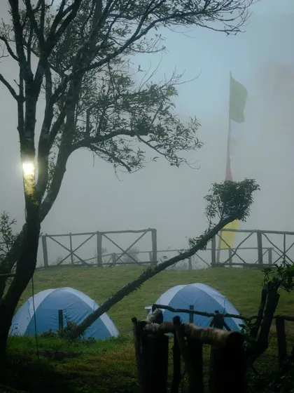 Tents pitched in the misty morning fog, giving the campsite an ethereal and peaceful vibe.