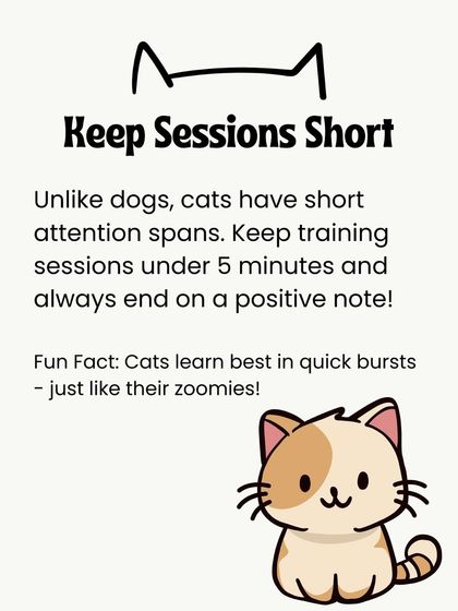 Oh My Dawg - Pet Supplies For New Pet Parents photo 25