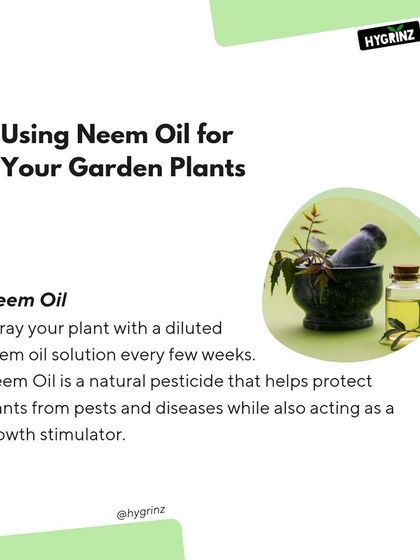 Hygrinz - Garden Maintenance Gardening Know-How: Tips & Techniques photo 23