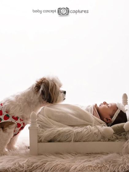 The family dog looks protectively over the newborn sleeping in the miniature bed. This shot beautifully captures the beginning of their friendship.