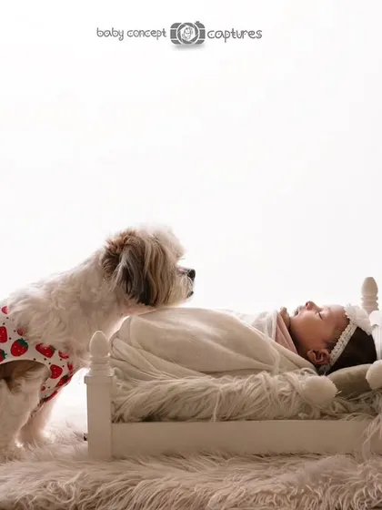 Another adorable moment from the same newborn and pet photoshoot. The dog's curious and gentle gaze towards the baby in the miniature bed creates a story of a new friendship beginning.