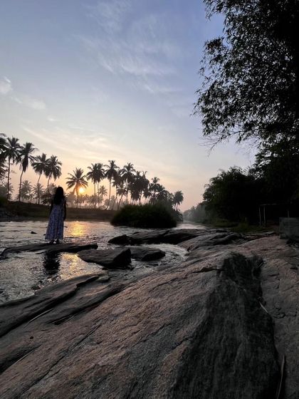 A wide shot capturing the serene atmosphere of the river at dawn, with the misty palm trees in the background.