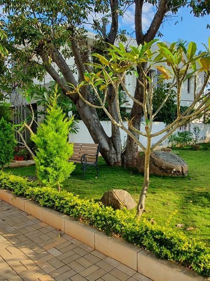 Art Yard - Garden Maintenance Villa & Estate Landscapes photo 3